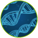 pearson-virtual-labs-biologia pearson-virtual-labs-biologia